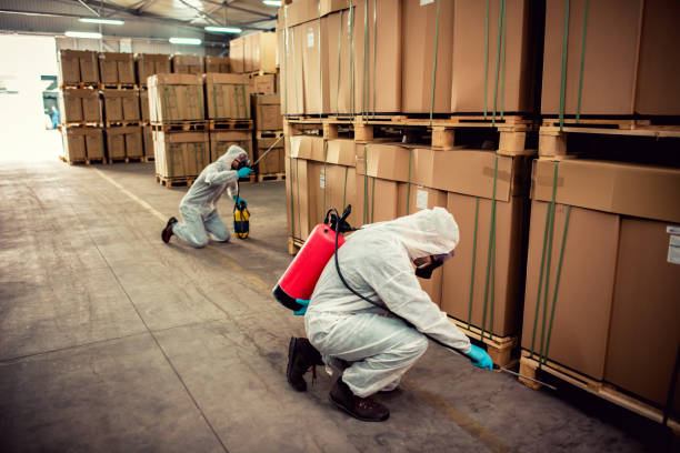 Best Pest Control for Homes  in New Knoxville, OH