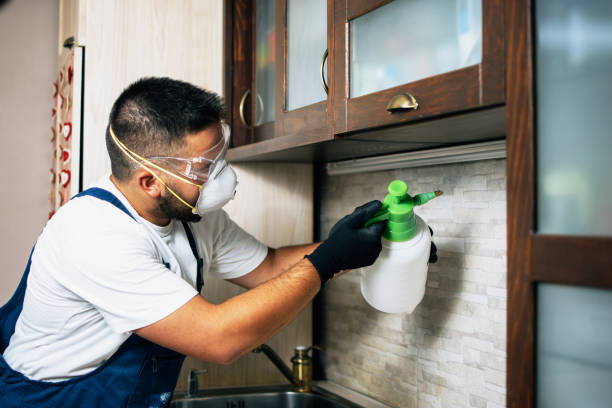 Best Pest Control Near Me  in New Knoxville, OH