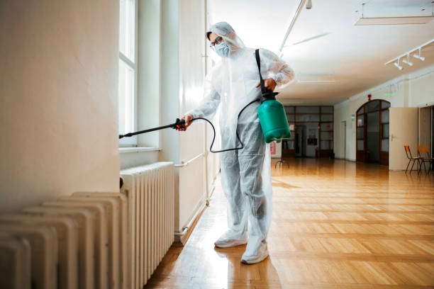 Best Cockroach Control Services  in New Knoxville, OH